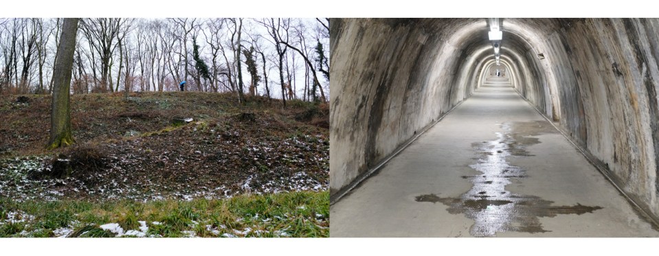 Photo by Ronda Churchill Series: Infertility/Neplodnost